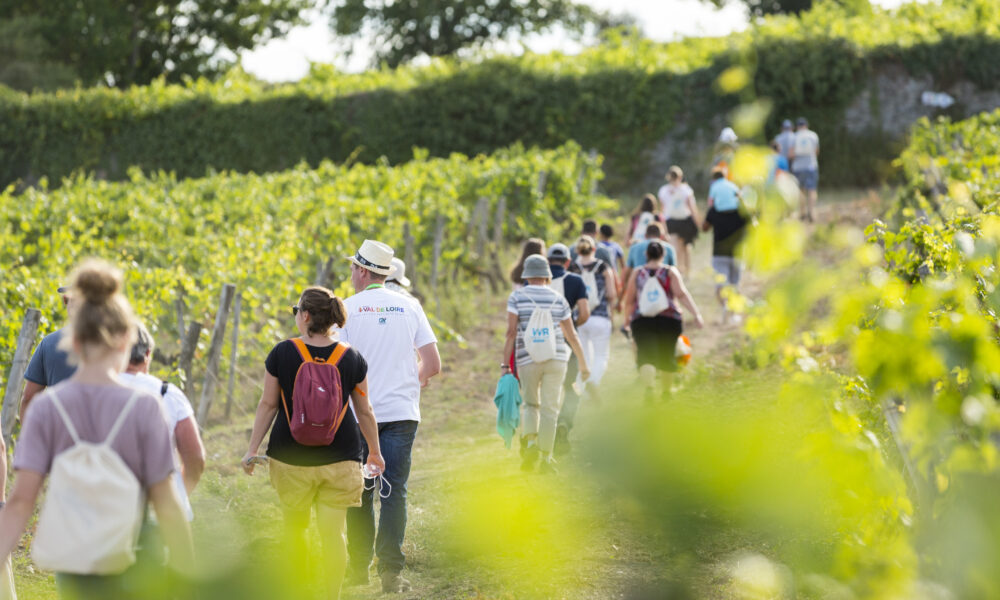 Approche à grands pas l’édition 2022 de VIGNES VINS RANDO !